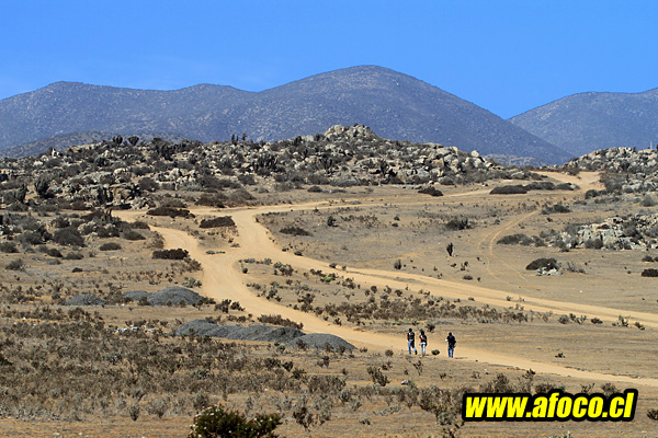 11baja1_25.JPG