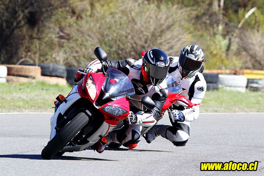 11bimota_44.JPG