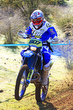 11fim2_028