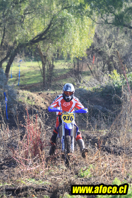 11fim3_206.JPG