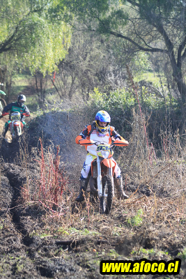 11fim3_209.JPG