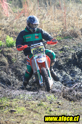 11fim3_214.JPG