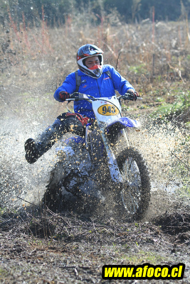 11fim3_220.JPG