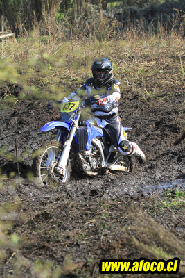 11fim3_228.JPG
