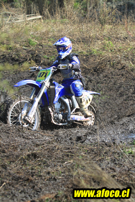 11fim3_229.JPG