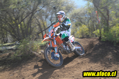 11fim3_270.JPG