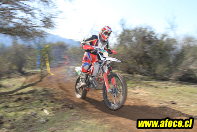11fim3_300.JPG