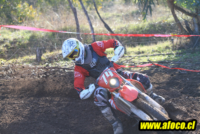 11fim3_445.JPG