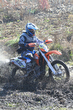 11fim3_190
