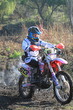 11fim3_200