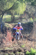 11fim3_205