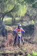 11fim3_206