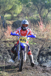 11fim3_208