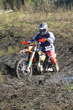 11fim3_230