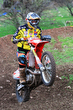 11fim5_61